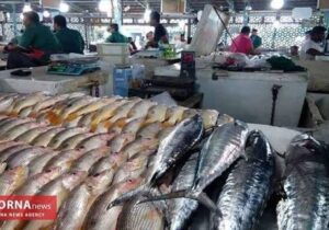 اعلام قیمت انواع آبزیان در میادین و بازار‌های میوه و تره بار