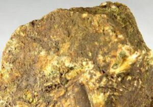 بهره برداری از واحد استحصال و فرآوری شمش طلا در خراسان جنوبی همزمان با سفر رئیس جمهور