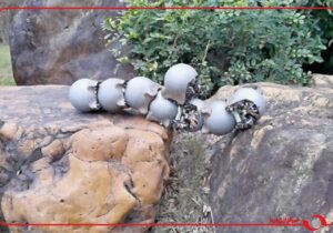 ربات‌های کوچک پل زنده ساختند