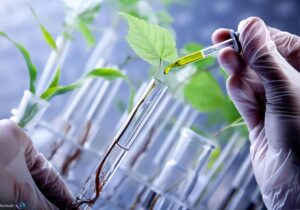 جوانه زنی دانه‌ها در آزمایشگاه با ژرمیناتور هوشمند ایرانی/ وقتی استانداردسازی مسیر نوآوری را مسدود می‌کند!