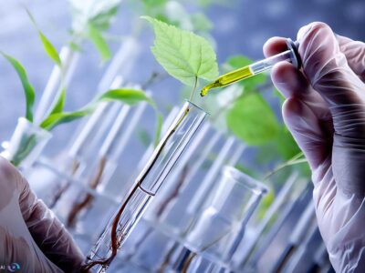 جوانه زنی دانه‌ها در آزمایشگاه با ژرمیناتور هوشمند ایرانی/ وقتی استانداردسازی مسیر نوآوری را مسدود می‌کند!