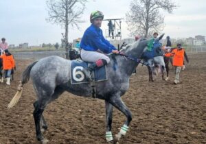 برگزاری هفته ششم کورس اسبدوانی گنبد با تاخت ۶۶ اسب