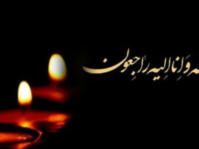 مدیرعامل لیگ برتری عزادار شد