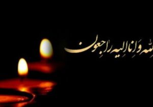 مدیرعامل لیگ برتری عزادار شد