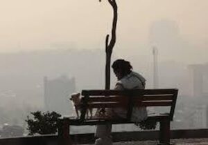 لزوم هم‌افزایی دستگاه‌ها و تشکل‌های مردمی برای مقابله با آلودگی هوا