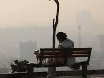 لزوم هم‌افزایی دستگاه‌ها و تشکل‌های مردمی برای مقابله با آلودگی هوا