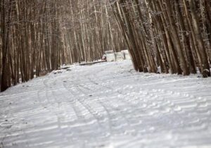 ساعات فعالیت مراکز گردشگری ناژوان در فصل سرد سال مشخص شد
