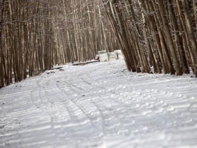 ساعات فعالیت مراکز گردشگری ناژوان در فصل سرد سال مشخص شد