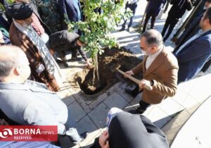 یلدا در رشت سبز شد