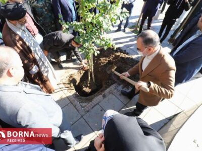 یلدا در رشت سبز شد