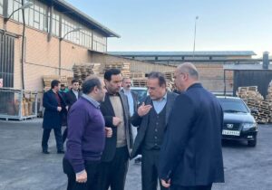 معاون استاندار البرز: حمایت میدانی از تولید و سرمایه‌گذاری استان با جدیت دنبال می‌شود
