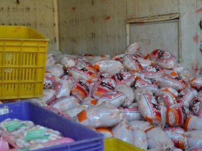 توزیع ۵۰ هزارتن مرغ منجمد در مازندران