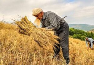 تکمیل طرح‌های کشاورزی؛ کلید جهش تولید