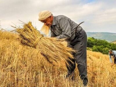 تکمیل طرح‌های کشاورزی؛ کلید جهش تولید