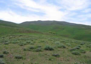 مدیر کل منابع طبیعی: با همکاری مردم ۷۰۰ هکتار مرتع احیا می‌شود