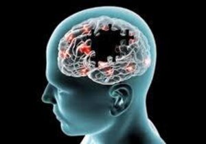 کشف متهم جدید آلزایمر و دارویی که پیش از آغاز فراموشی وارد عمل می‌شود