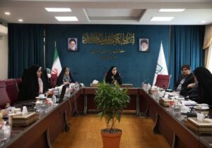 برگزاری نشست تخصصی بررسی آزار و خشونت خانگی با تمرکز بر خانه‌های امن