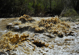 وضعیت رودخانه گز در شهرستان سیریک