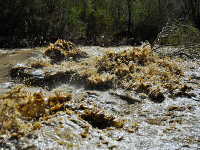 وضعیت رودخانه گز در شهرستان سیریک