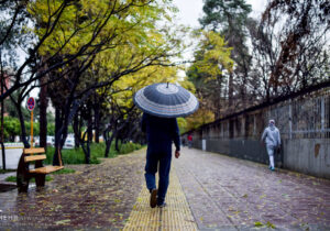 شیراز در بارش باران رحمت الهی