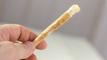 سخن پیامبر(ص) که در دانشگاه برگن نروژ ثابت شد!