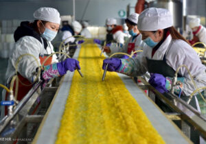 ادراک اندیشه چینی در مفهوم خودکفایی غلات