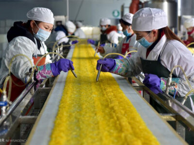 ادراک اندیشه چینی در مفهوم خودکفایی غلات