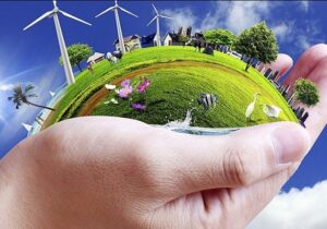 موفقیت جهانی پژوهشگر دانشگاه تربیت مدرس در تولید سوخت پاک از زیست توده