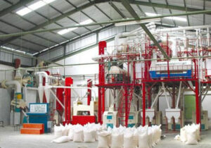 نظارت میدانی بر کیفیت آرد و نان در کنگاور