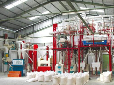 نظارت میدانی بر کیفیت آرد و نان در کنگاور