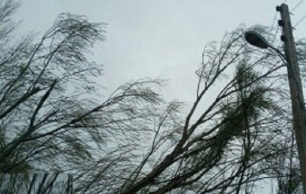 تندباد به ۵۰ سیاه‌چادر عشایری در استان ایلام خسارت وارد کرد