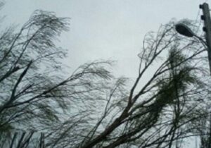 تندباد به ۵۰ سیاه‌چادر عشایری در استان ایلام خسارت وارد کرد