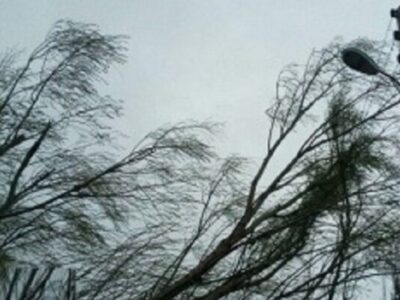 تندباد به ۵۰ سیاهچادر عشایری در استان ایلام خسارت وارد کرد