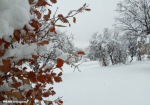 پیش بینی بارش برف در خوزستان