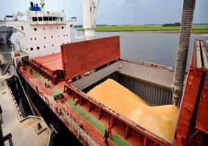 چابهار؛ دروازه راهبردی ورود گندم با نظارت سختگیرانه و کنترل کیفیت