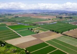 واگذاری اراضی ملی استان بوشهر برای اجرای طرحهای غیرکشاورزی