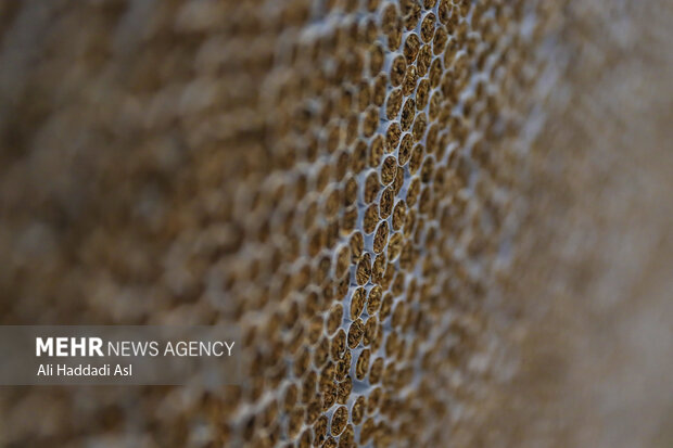 مالیات هر نرخ سیگار ۶۵ تومان شد+ جزئیات