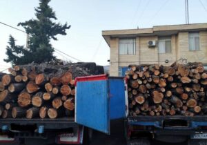 هدایت: ۲دستگاه خودرو حامل ۸ تن هیزم جنگلی در استان اردبیل توقیف شد