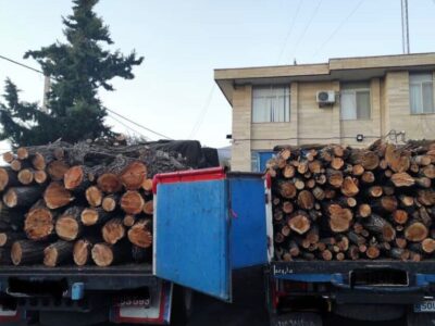 هدایت: ۲دستگاه خودرو حامل ۸ تن هیزم جنگلی در استان اردبیل توقیف شد