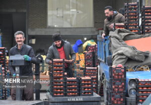 کنترل قیمت و کیفیت اقلام یلدایی در میادین میوه و ترهبار