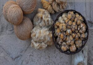 راز پنبه قهوهای خوسف؛ میراث ۵۰۰ ساله در دور باطل نخ ریسی گرفتار شد