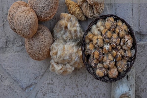 راز پنبه قهوهای خوسف؛ میراث ۵۰۰ ساله در دور باطل نخ ریسی گرفتار شد راز پنبه قهوهای خوسف؛ میراث ۵۰۰ ساله در دور باطل نخ ریسی گرفتار شد