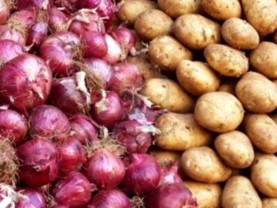 سیبزمینی و پیاز به میزان کافی ذخیرهسازی شده است