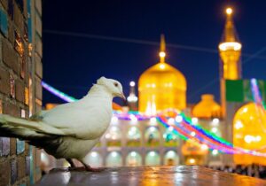 روایت شیخ حسین انصاریان از تواضع وصف ناشدنی حضرت امام رضا(ع)