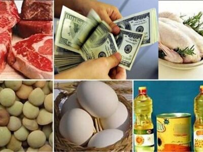 ۴۴.۴ میلیارد دلار ارز واردات تامین شد