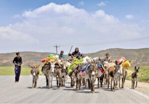 عملیات بهسازی راه های عشایری ایلام خسارت دیده از سیلاب آغاز شد