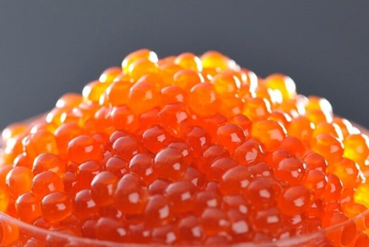 آذربایجان غربی قطب شیلات و آبزیان کشور؛۲۱ هزارتن آبزی تولید می شود