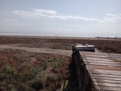 خلیج گرگان درآستانه فروپاشی اکولوژیک؛نفس‌خلیج ایرانی خزربه شماره افتاد