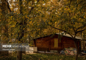 محمودی:تمامی تفرجگاههای خراسان رضوی تعطیل شد