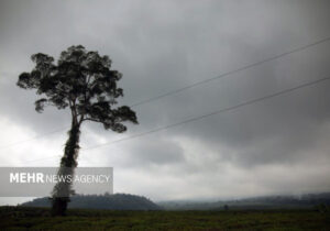 معضلی به نام کمبود بارش؛ اوج کم آبی سمنان خودش را نشان داد